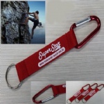 Carabiner Pocket Key Chain